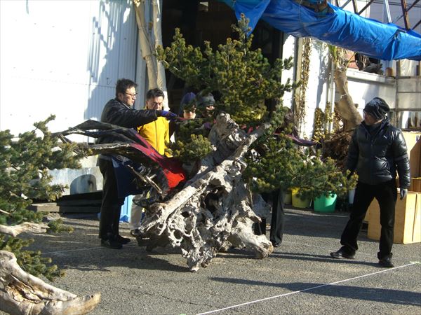 CIMG0014.JPG