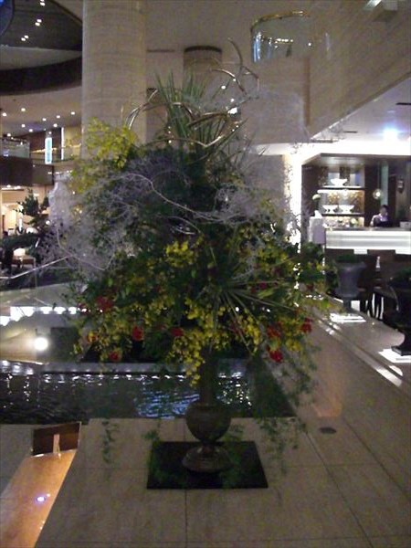 CIMG0035.JPG