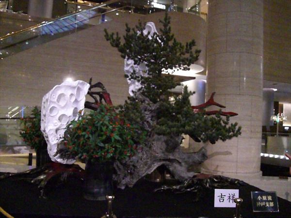 CIMG0043.JPG