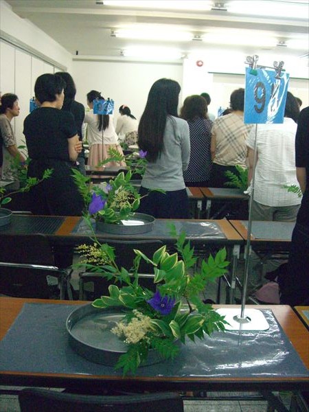CIMG0575.JPG