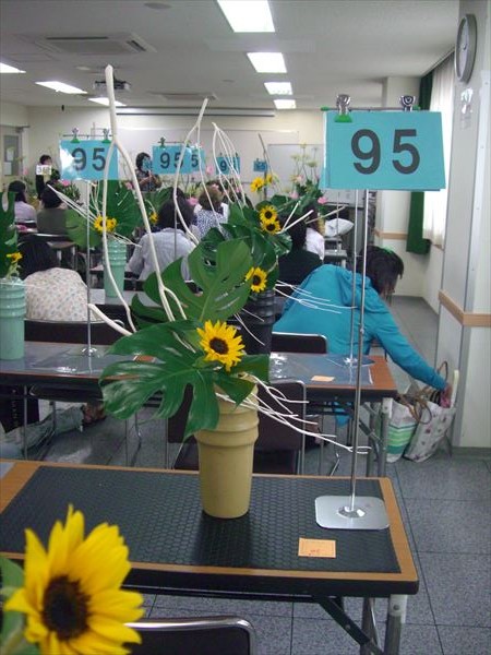 CIMG0604.JPG