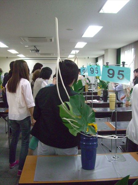 CIMG0608.JPG