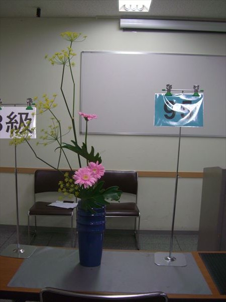 CIMG0610.JPG