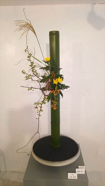 IMG0000.jpg
