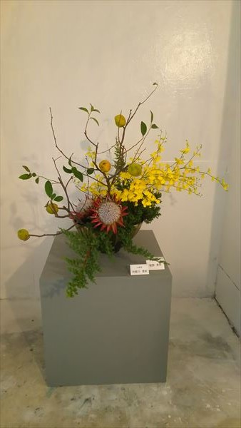IMG0001.jpg