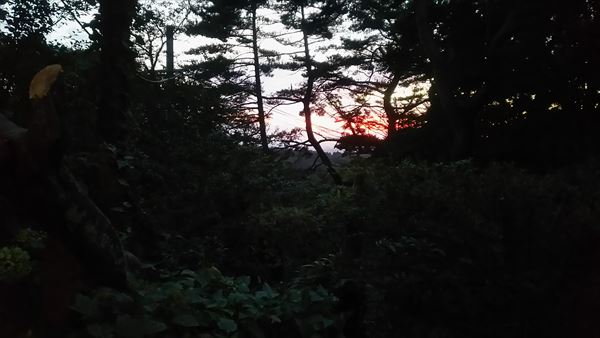 2015-09-19_18.18.38.jpg