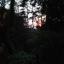 2015-09-19_18.18.38.jpg