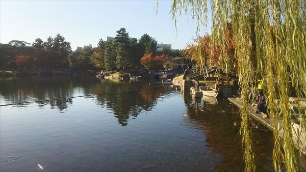 2016-11-12_14.57.46.jpg