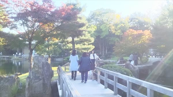 2016-11-12_15.02.07.jpg