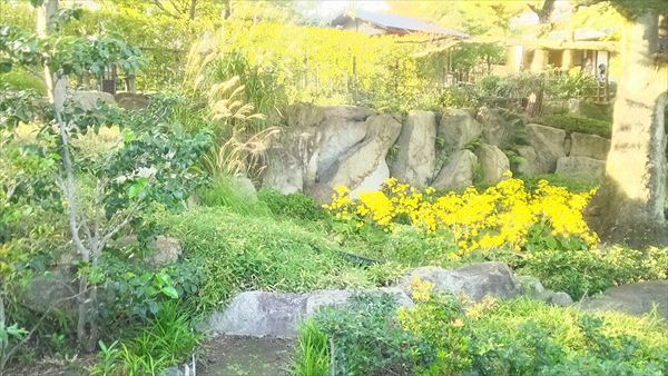 2016-11-12_15.02.41.jpg