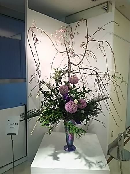 2017-03-28_18.22.28.jpg