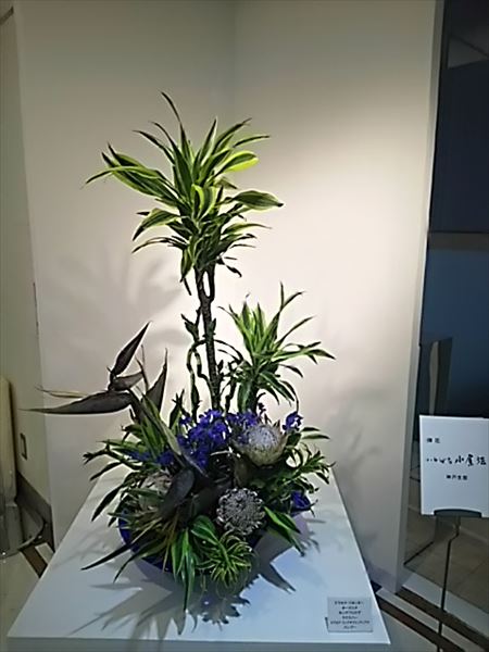 2017-03-28_18.22.58.jpg