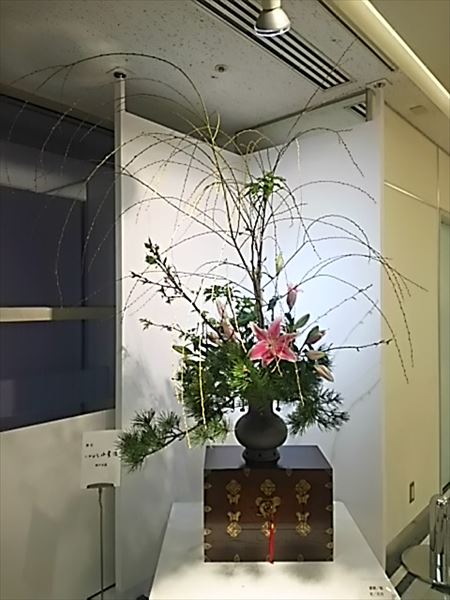 2017-03-28_18.24.28.jpg