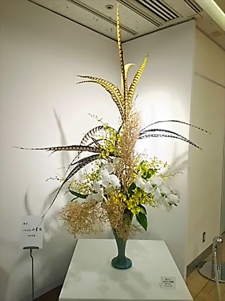 2017-03-28_18.26.08.jpg