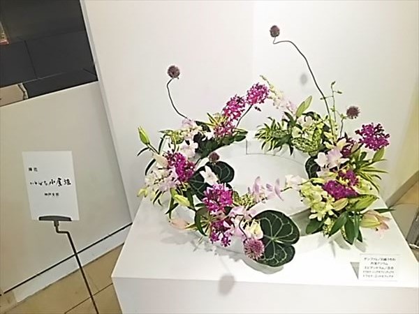 2017-03-28_18.29.22.jpg