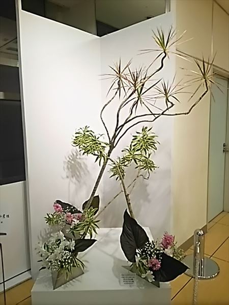 2017-03-28_18.31.02.jpg