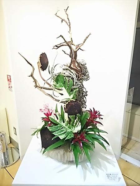 2017-03-28_18.31.58.jpg