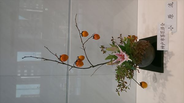 IMG_3980.jpg
